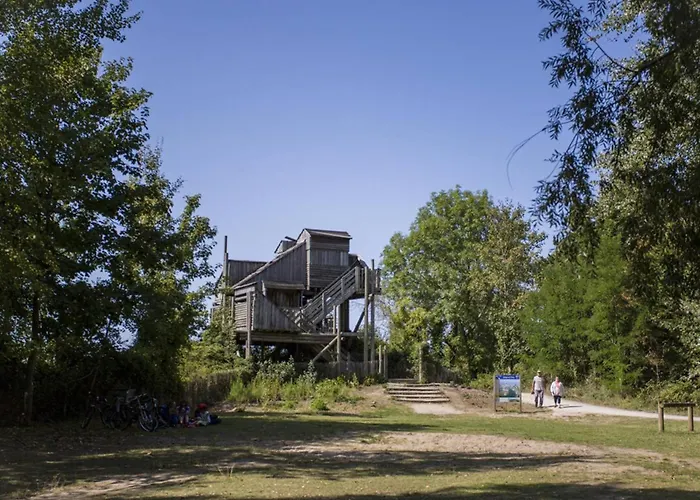 Authentique Près De La Pour 6 Personnes - Fr-1-788-65 Merville-Franceville-Plage